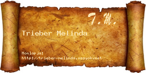 Trieber Melinda névjegykártya